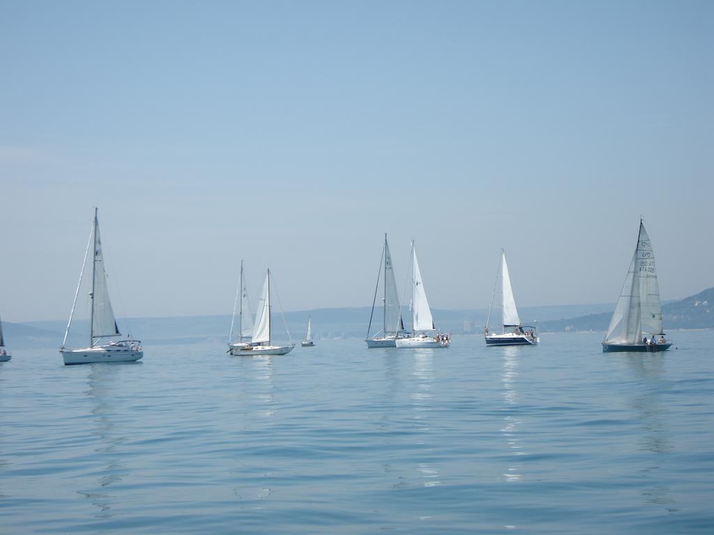 Vilele Soarelui Neptun Extérieur photo