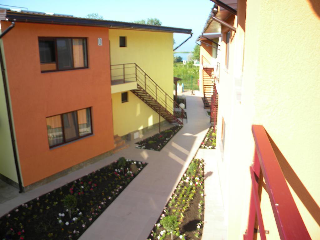Vilele Soarelui Neptun Extérieur photo